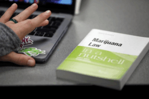 NEW DECADE BEGINS W BUYERS FINDING OUT WHAT A LEGAL GRAM COSTS
