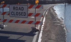 MISSISSIPPI RIVER RISING CLOSES PART OF RIVER DRIVE IN MOLINE