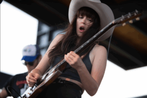 MISSISSIPPI VALLEY BLUES SOCIETY CANCELS 2020 BLUES FESTIVAL