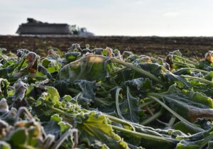 FARMER PAYMENTS FROZEN