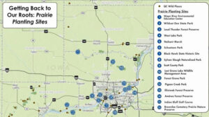 RIVER ACTION ANNOUNCES AMBITIOUS PRAIRIE PROJECT AS MOLINE RECOGNIZED AS A TREE CITY
