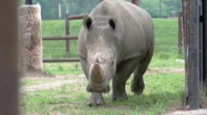 NIABI ZOO PASSES RIGOROUS FIVE-YEAR REVIEW PROCESS FOR REACCREDITATION