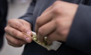 State cannabis sales revenue falls as hemp, other states cut into prices for struggling industry