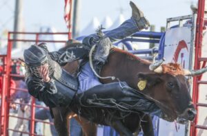 Ford Cty Fair to mark 100 years w Clay Walker, Resurrection