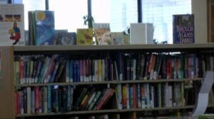 Waterloo Public Library names Robbin Degeratu new director