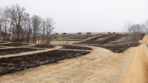Casper Creek Natural Cemetery restores prairie life through green burial near Galena
