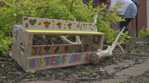 Rock Island third grader going to nat’l competition w her squirrel-deterring invention