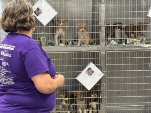 It Takes a Village Animal Rescue in Muscatine permanently closing its doors