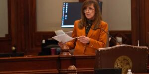 Linda Holmes, twenty-year state Senate Democrat, will step down from ballot