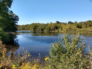 Morrison-Rockwood State Park closing for lake treatment