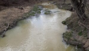 Biotech company to pay $90K for fish kill, spill in Lizard Creek