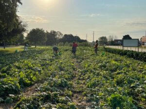 Tapestry Farms hosting summer breakfast in garden series highlighting area growers