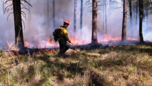 U of Iowa researchers track worsening surface ozone pollution from wildfires