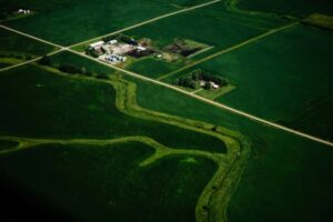 Researchers say farmers want to grow more than corn and soybeans. A new report has some ideas
