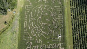 All Seasons Orchard in Woodstock to unveil larger-than-life corn-maze homage to Dolly Parton