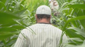 Ghost Players keep Field of Dreams alive more than 35 years later