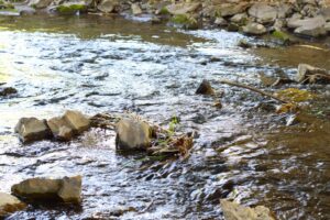 Iowa Dept of Natural Resources investigating fuel spill into Dallas Cty creek following fire