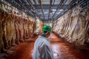 Beef producers “disappointed” by Trump tariff suspension